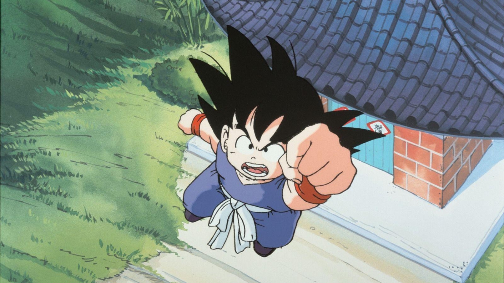 Dragon-Ball-Goku-atacando-temporada-inicial.jpg