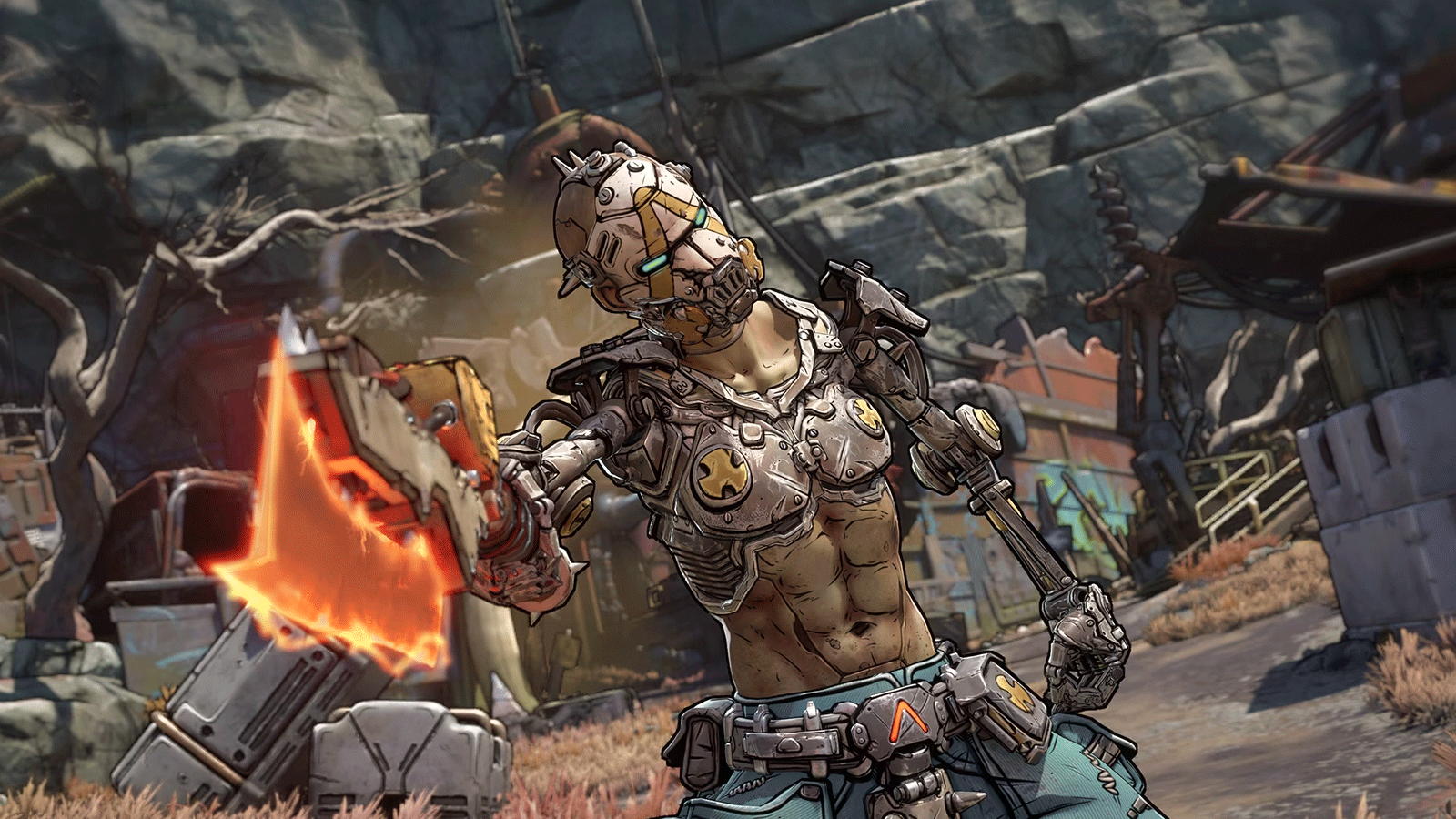 Borderlands 4.