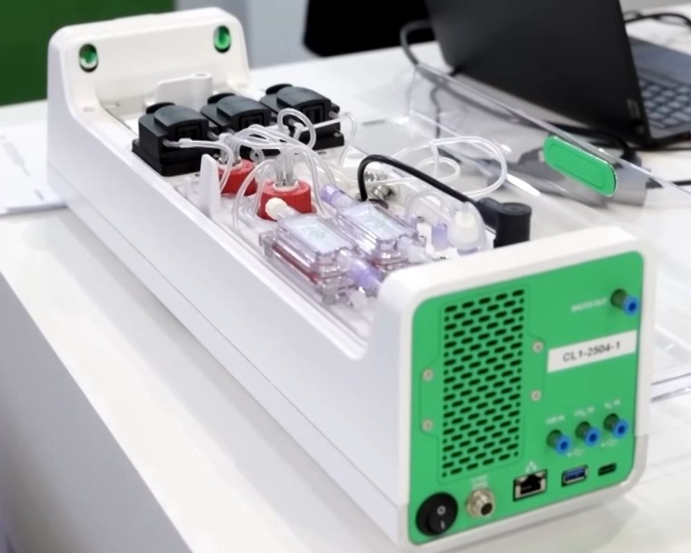 Ordenador ndolarnas humanas