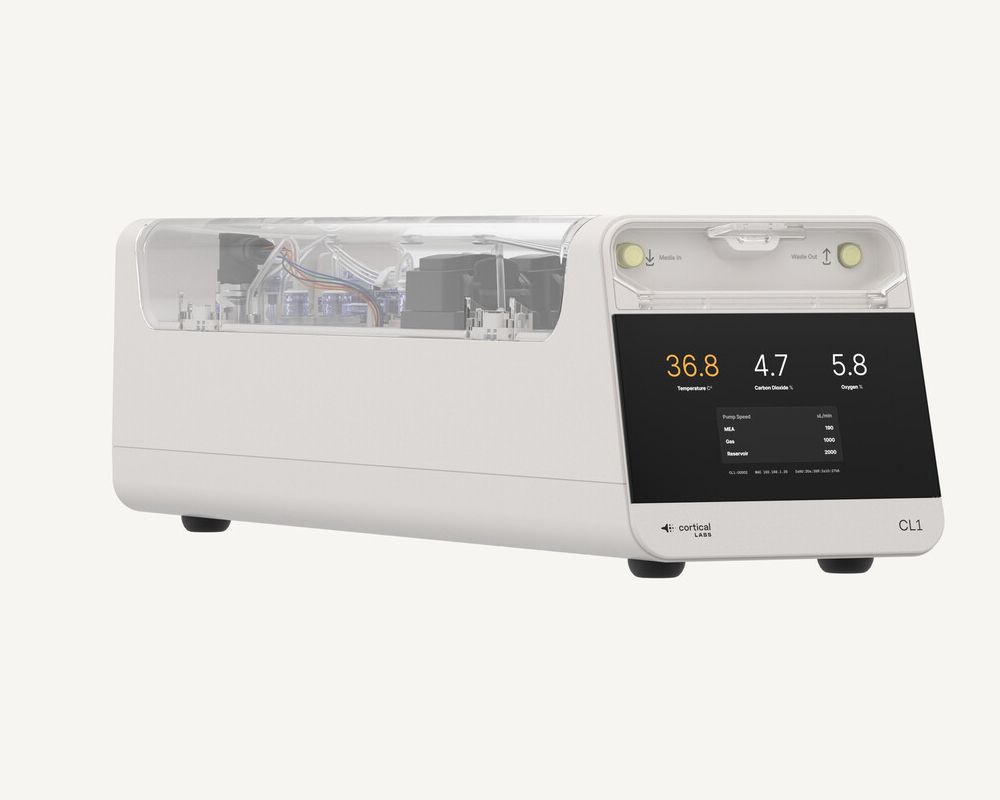 Ordenador ndolarnas humanas