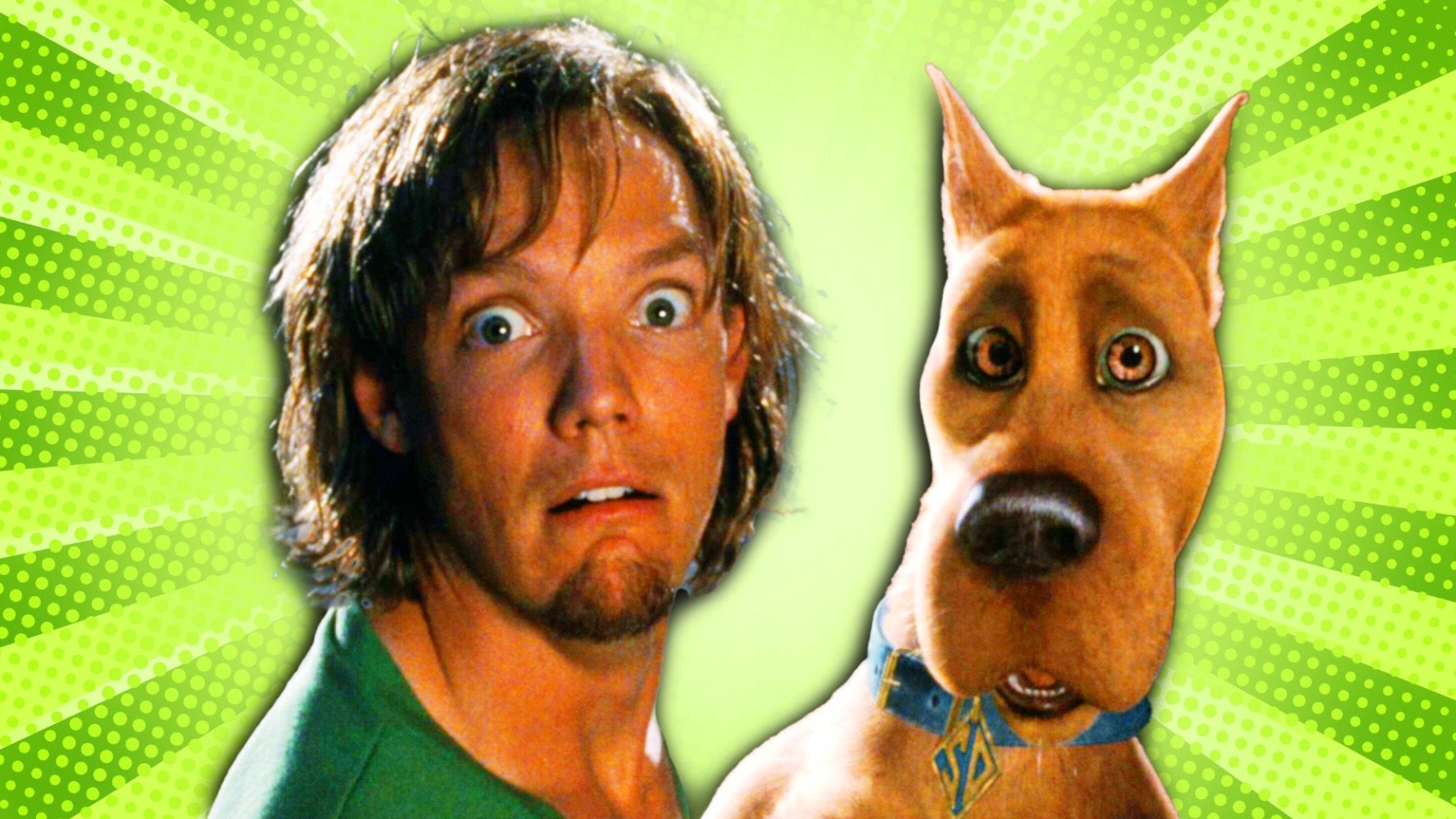 matthew-lillard-as-shaggy-in-scooby-doo